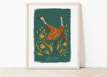 Load image into Gallery viewer, Sandhill Crane Print