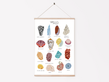 Load image into Gallery viewer, Sea Shells Print
