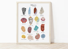 Load image into Gallery viewer, Sea Shells Print