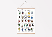 Load image into Gallery viewer, A-Z of Beetles Poster