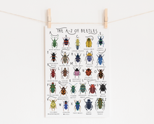 Load image into Gallery viewer, A-Z of Beetles Poster