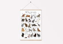 Load image into Gallery viewer, A-Z of Cats Poster