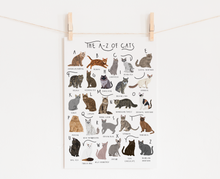 Load image into Gallery viewer, A-Z of Cats Poster