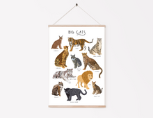 Load image into Gallery viewer, Big Cats Print