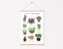 Load image into Gallery viewer, Cacti and Succulents Print