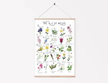 Load image into Gallery viewer, A-Z of Wildflowers Poster