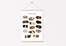 Load image into Gallery viewer, Guinea Pig Print