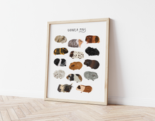 Load image into Gallery viewer, Guinea Pig Print