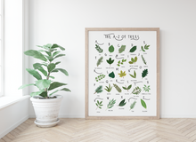 Load image into Gallery viewer, A-Z of Trees Poster