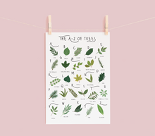 Load image into Gallery viewer, A-Z of Trees Poster