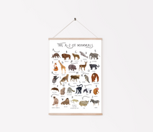 Load image into Gallery viewer, A-Z of Mammals Poster