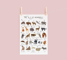 Load image into Gallery viewer, A-Z of Mammals Poster