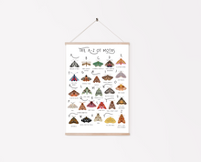 Load image into Gallery viewer, A-Z of Moths Poster