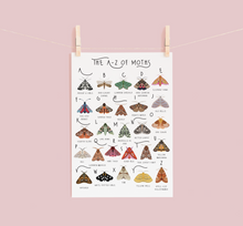 Load image into Gallery viewer, A-Z of Moths Poster