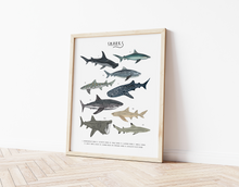 Load image into Gallery viewer, Sharks Print