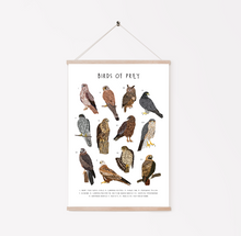 Load image into Gallery viewer, Birds of Prey Print