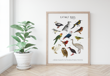 Load image into Gallery viewer, Extinct Birds Print