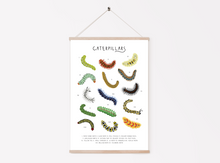 Load image into Gallery viewer, Caterpillar Print