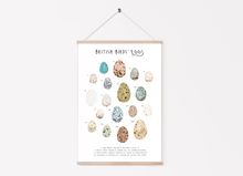 Load image into Gallery viewer, British Birds Eggs Print