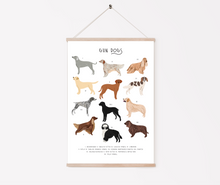 Load image into Gallery viewer, Gun Dogs Print
