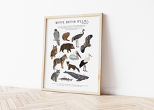 Load image into Gallery viewer, British Native Species Print