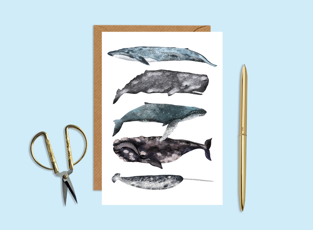Whales Stack Card
