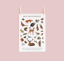 Load image into Gallery viewer, Rural British Wildlife Print