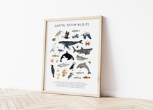 Load image into Gallery viewer, Coastal British Wildlife Print