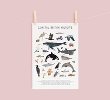 Load image into Gallery viewer, Coastal British Wildlife Print