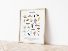 Load image into Gallery viewer, Pond Life Print
