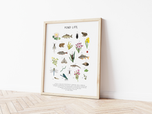 Load image into Gallery viewer, Pond Life Print