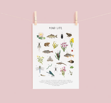 Load image into Gallery viewer, Pond Life Print