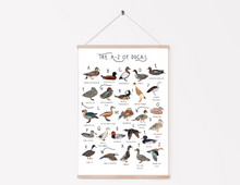 Load image into Gallery viewer, A-Z of Ducks