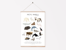 Load image into Gallery viewer, Arctic Animals Print