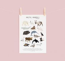Load image into Gallery viewer, Arctic Animals Print