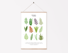 Load image into Gallery viewer, Ferns Print