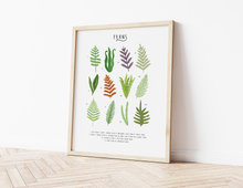 Load image into Gallery viewer, Ferns Print