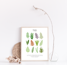 Load image into Gallery viewer, Ferns Print