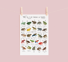 Load image into Gallery viewer, A-Z of Frogs Poster