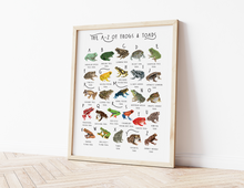 Load image into Gallery viewer, A-Z of Frogs Poster