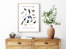 Load image into Gallery viewer, British Coastal Birds