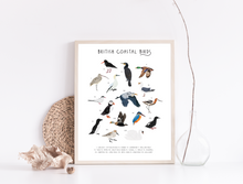 Load image into Gallery viewer, British Coastal Birds