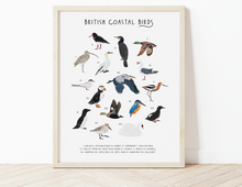 Load image into Gallery viewer, British Coastal Birds