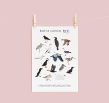 Load image into Gallery viewer, British Coastal Birds