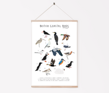 Load image into Gallery viewer, British Coastal Birds