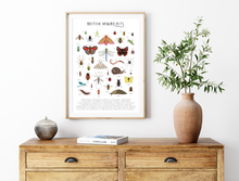 Load image into Gallery viewer, British Minibeasts Print