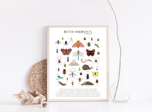 Load image into Gallery viewer, British Minibeasts Print
