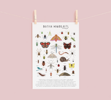 Load image into Gallery viewer, British Minibeasts Print