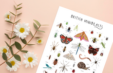 Load image into Gallery viewer, British Minibeasts Print
