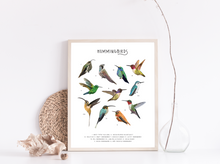Load image into Gallery viewer, Hummingbirds Print

